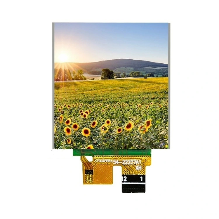 1,54 tommers TFT LCD -skjerm