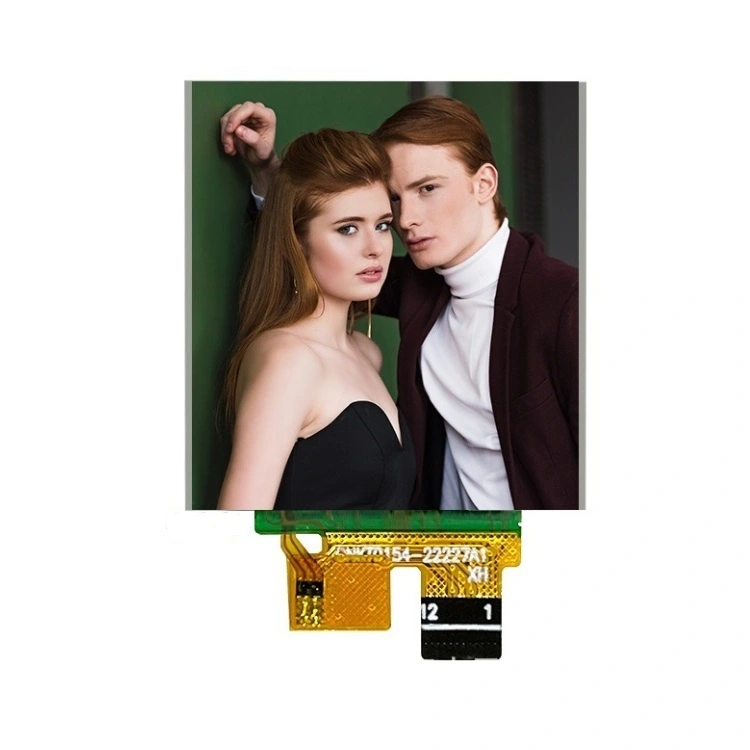 1,54 tommers TFT LCD -modul