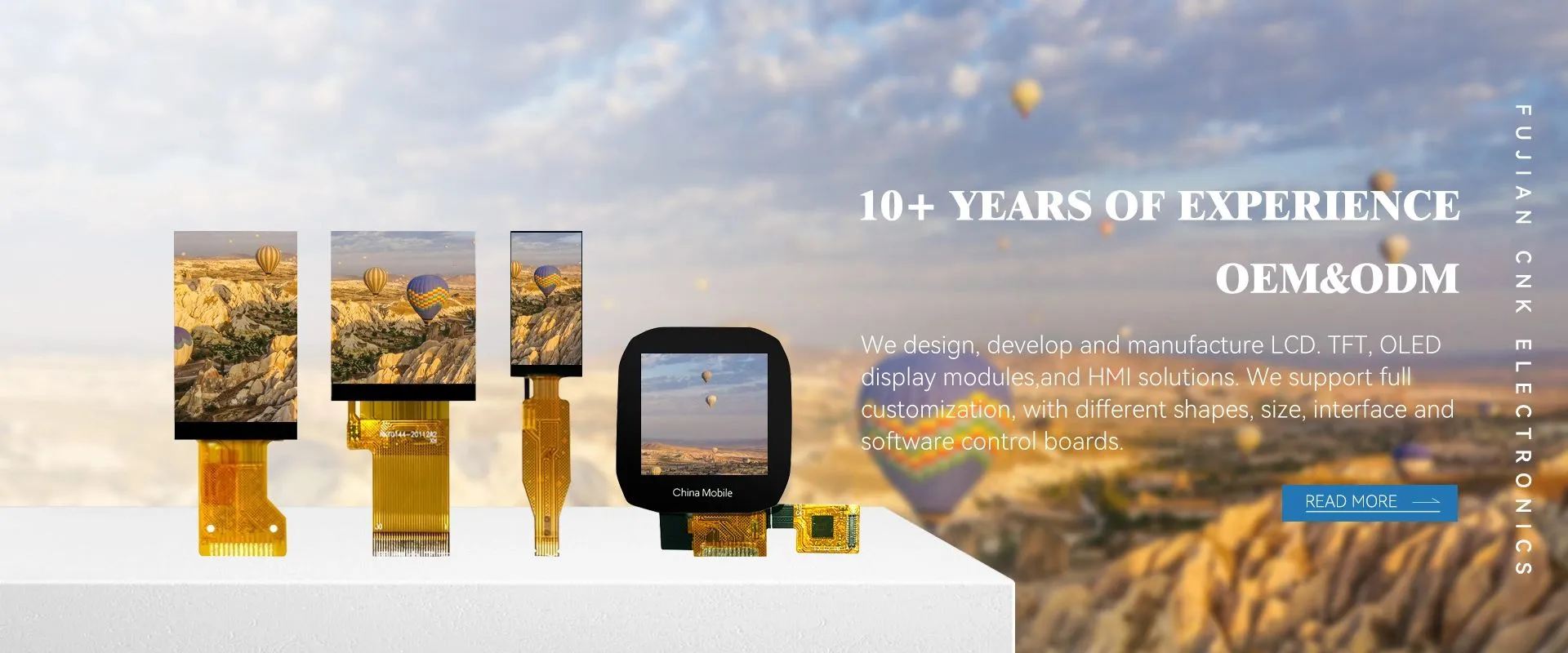 OLED -modulfabrikk