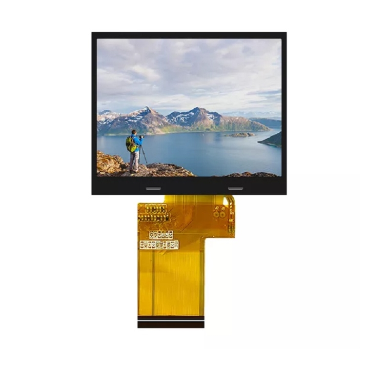 3,95 tommer 480x480 TFT -skjerm